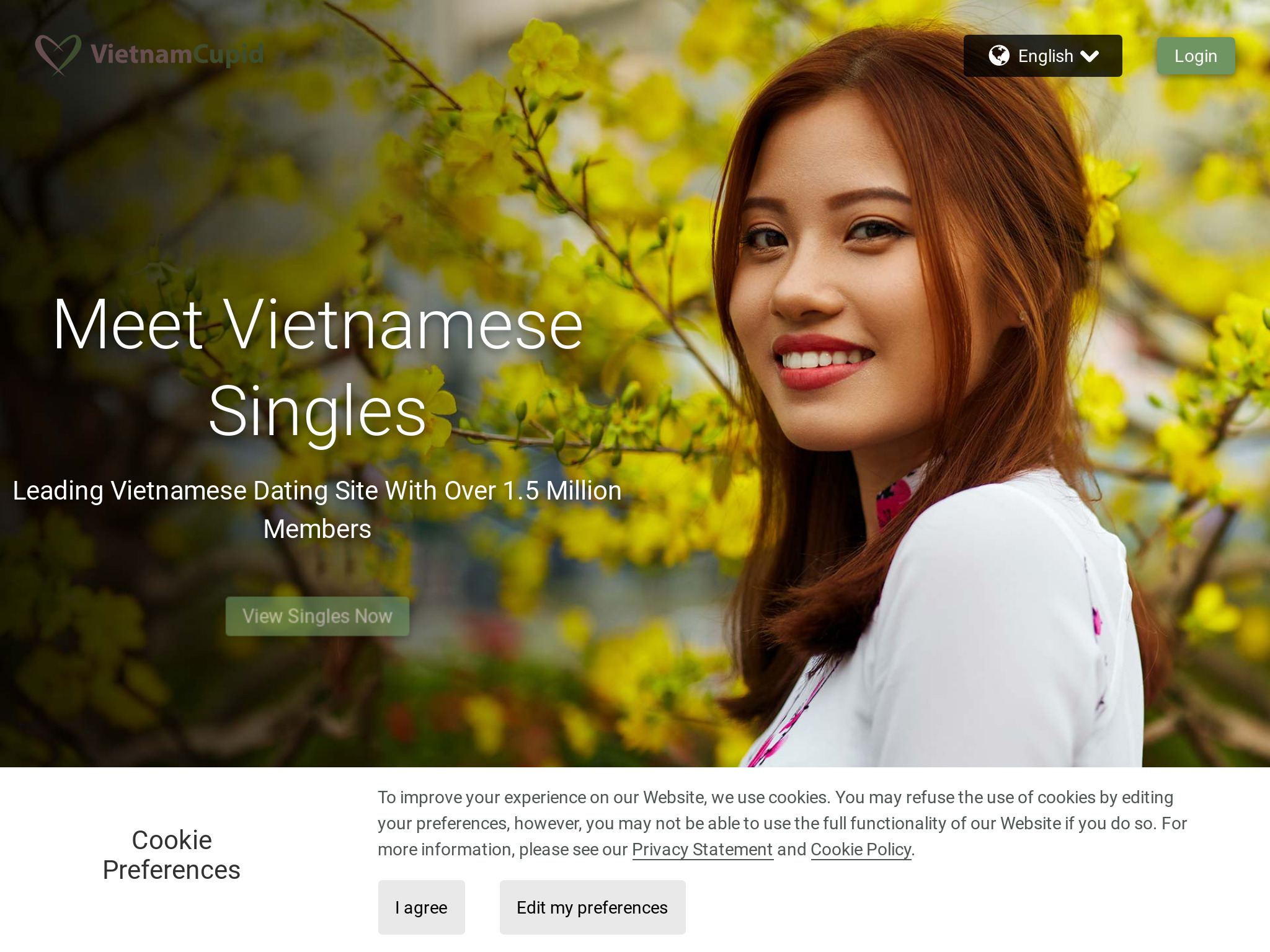 Romantiek online vinden &#8211; 2023 VietnamСupid Review